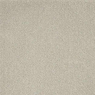 Carpet Dune in plain light beige, close-up of texture