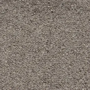 Carpet Reed, plain taupe-grey loop pile close-up