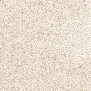Carpet Shell, plain ivory velvet pile close up
