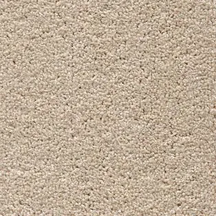 Carpet Thatch in warm greyish-beige soft cut pile