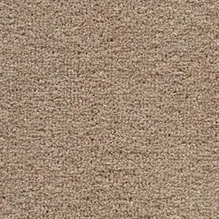Carpet Nutmeg, warm beige-brown tight loop pile