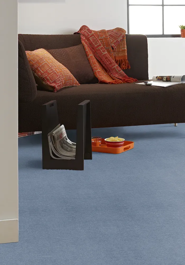 Carpet Tourmaline, plain dark mottled fibre in a living room