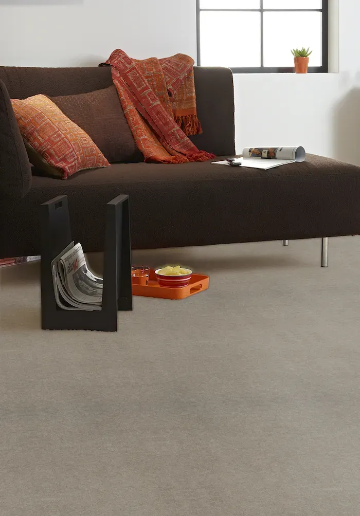 Carpet Havana, plain grey-beige carpet in a living room