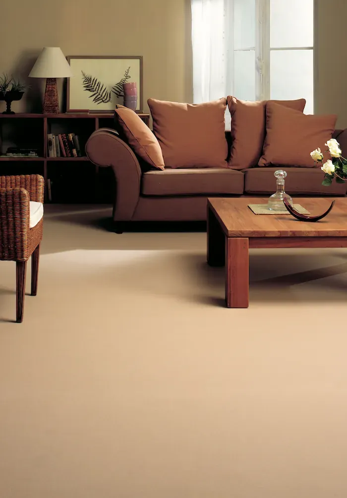 Carpet Burnt Toast, rosy beige carpet in a warm living room
