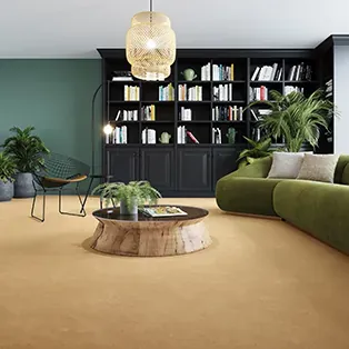 Carpet Bark, plain light warm carpet covering a living room floor