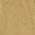 Carpet Bark, plain light warm carpet covering a living room floor