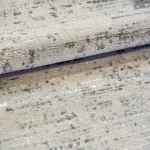 Custom rug Cloud, light grey carpet with fine dark flecks