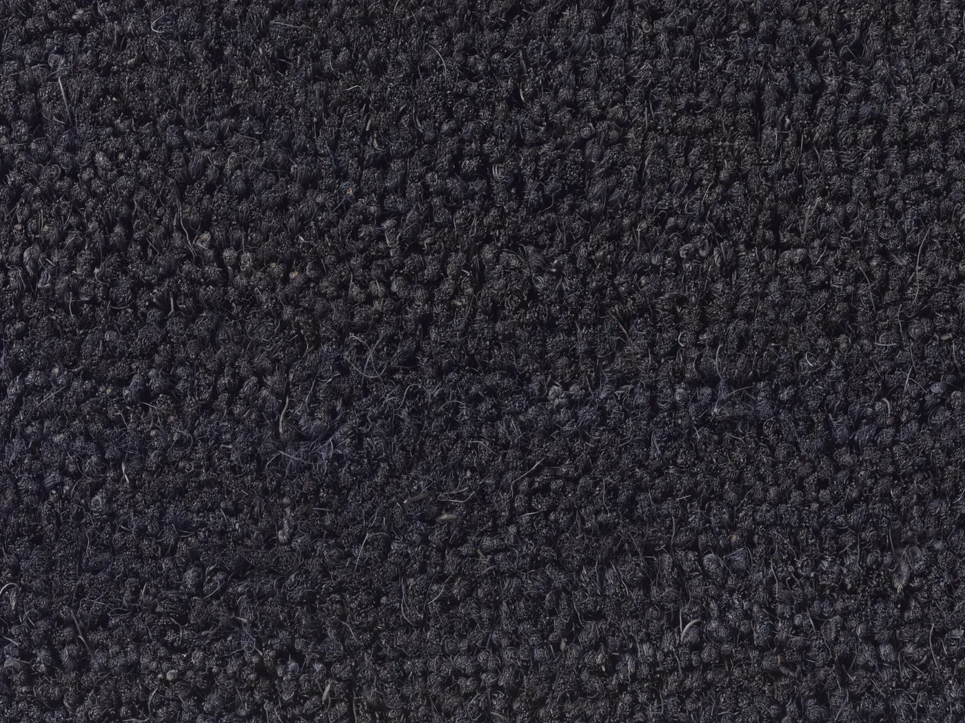 Brush entrance mat in anthracite black, dense looped fibres
