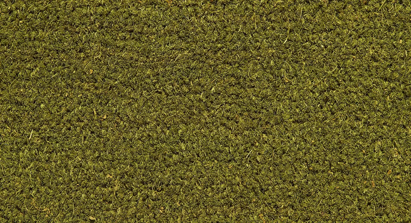 Entrance mat Buttercup, close-up of warm yellow brushed fibres