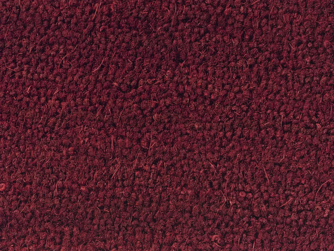 Entrance mat Redcurrant, close-up of thick deep red fibres