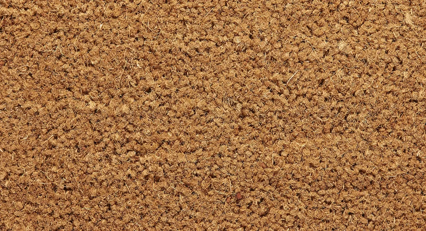 Brush entrance mat in natural coir, warm hazel fibres