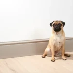 Tall skirting board with cable clip, deep grey, at floor level