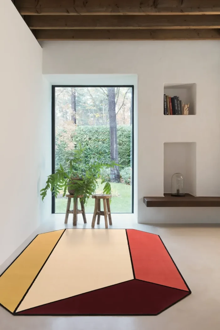 Rug Terracotta Tile in a bright living room by a window