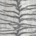 Wall mural Eclipse with black tiger stripes on charcoal