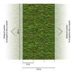 Wall mural Sea Buckthorn, dense green moss texture