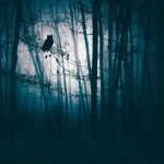 Wall mural Soft Pearl with night forest and perched owl