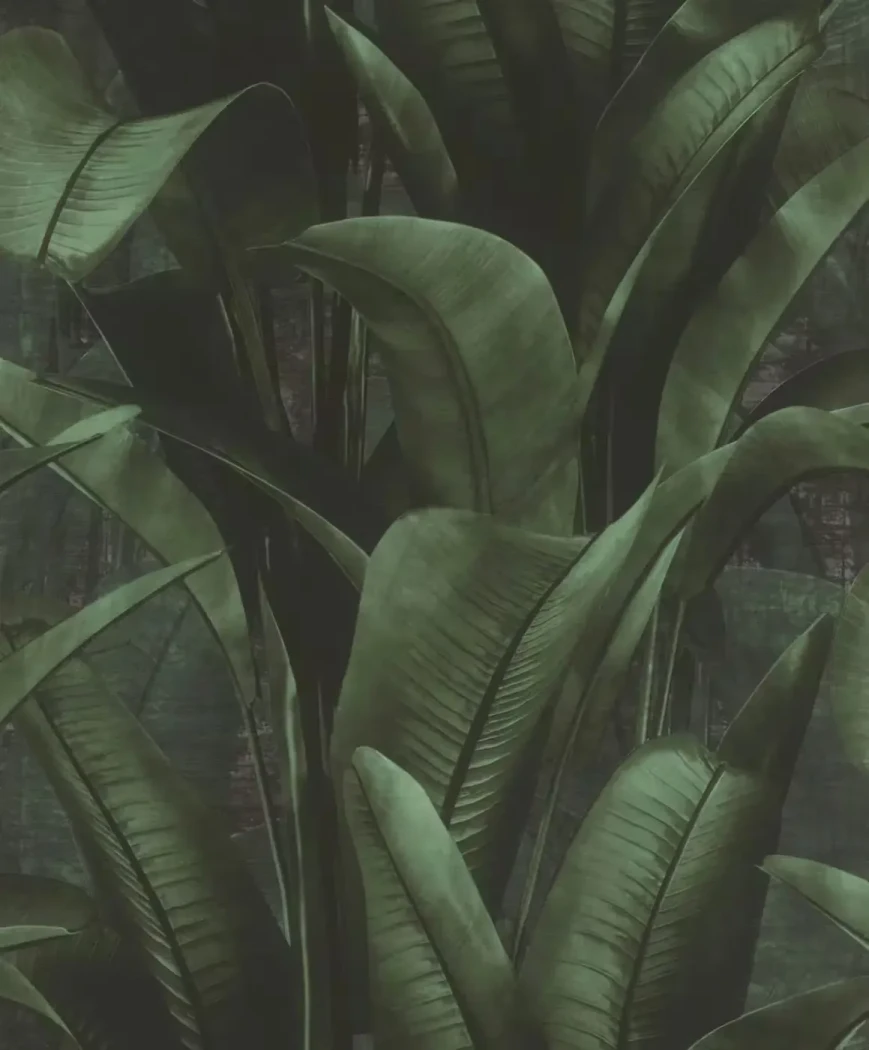Wallpaper Soot, dark green banana leaves on near-black ground
