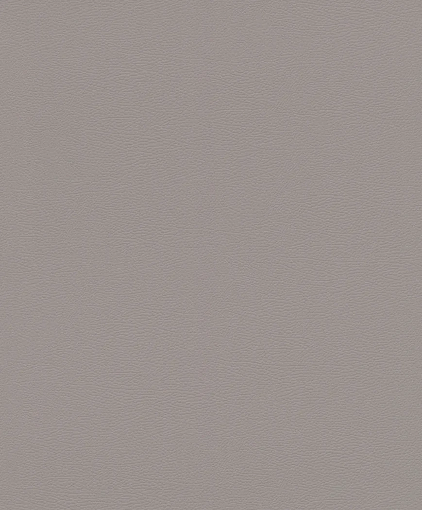 Wallpaper Basalt, plain mid-grey with a fine even grain