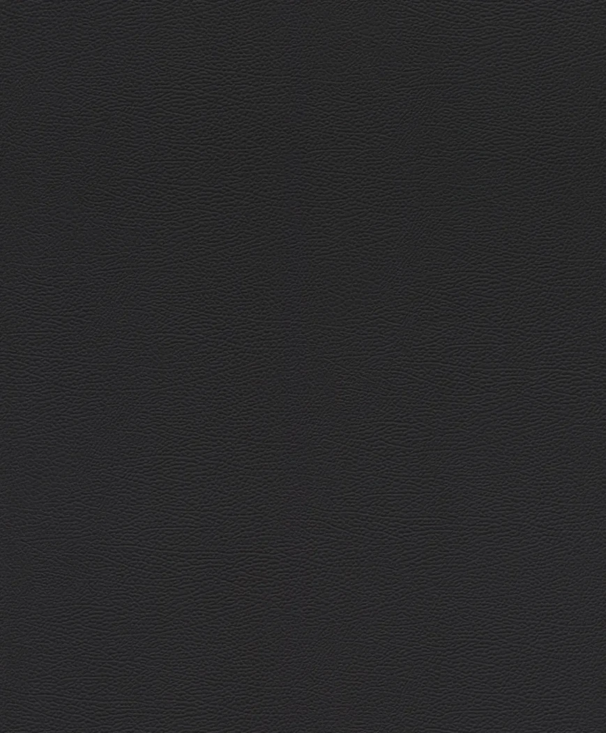 Wallpaper Eclipse in plain matt black with fine leather grain