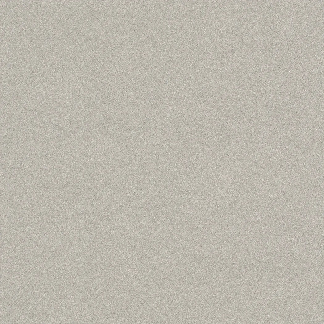Wallpaper Downpour, plain matt light grey with a fine grain