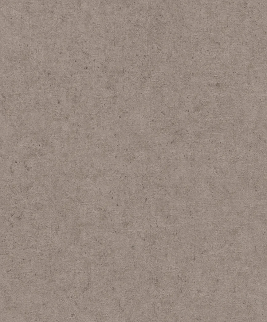 Wallpaper Tan Leather with a matt taupe brushed concrete effect