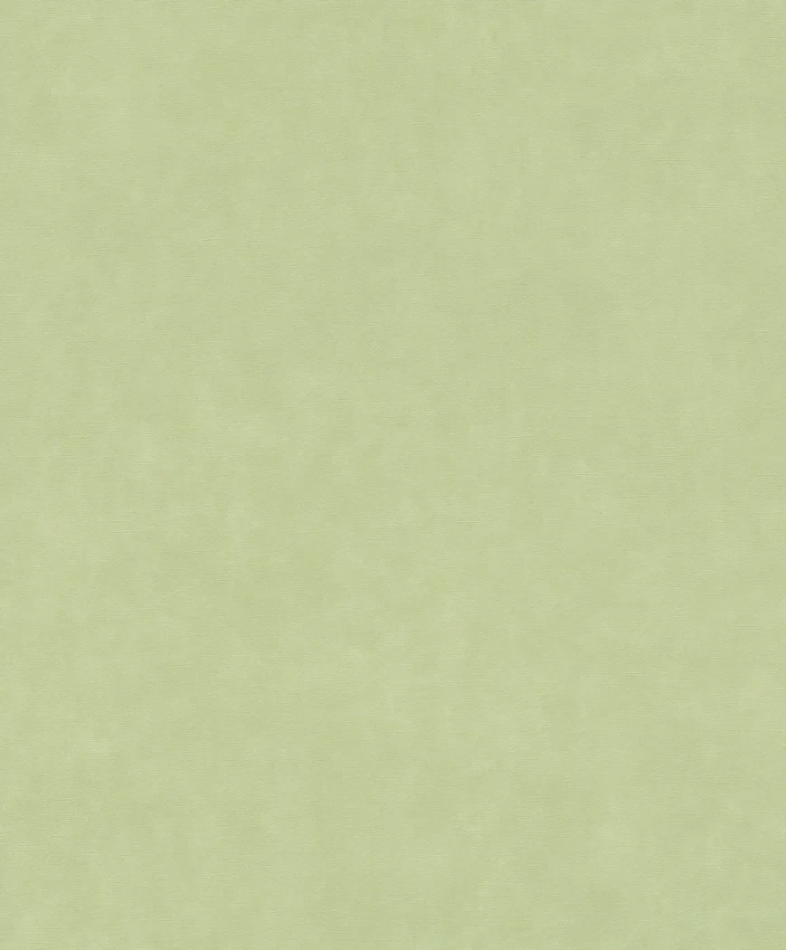 Wallpaper Moss, plain moss green with fine canvas texture